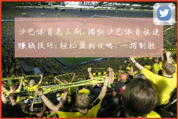 沙巴体育怎么刷,揭秘沙巴体育快速赚钱技巧,轻松盈利攻略,一招制胜