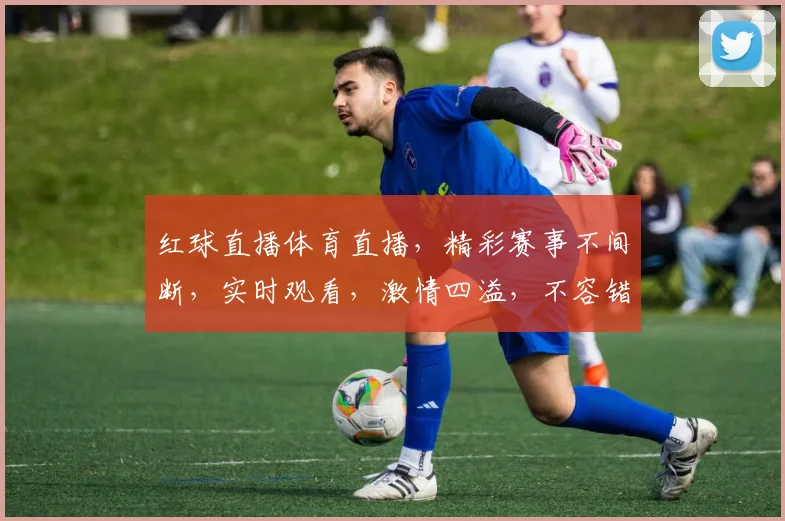 红球直播体育直播，精彩赛事不间断，实时观看，激情四溢，不容错过